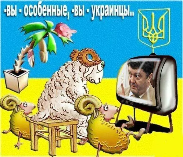 Порошенко - карикатура
