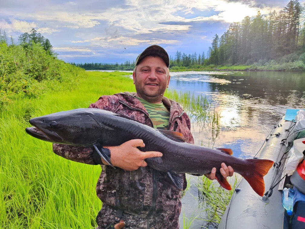 Фото с тайменем.