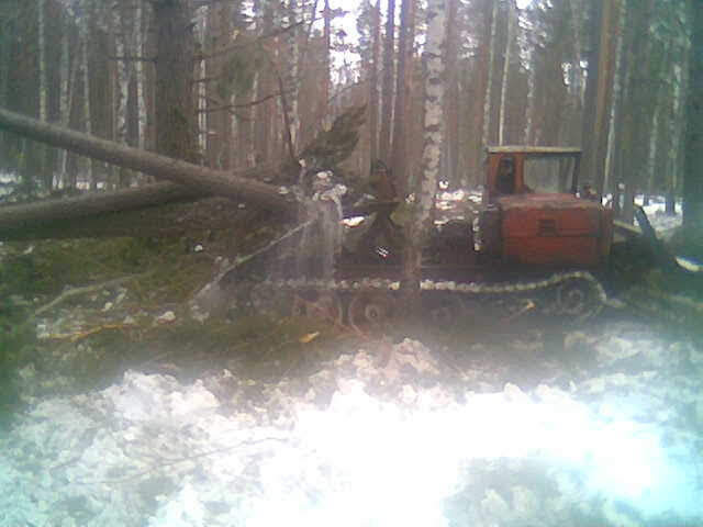 Призрак с крылышками феи? Тот самый сгоревший бульдозер.