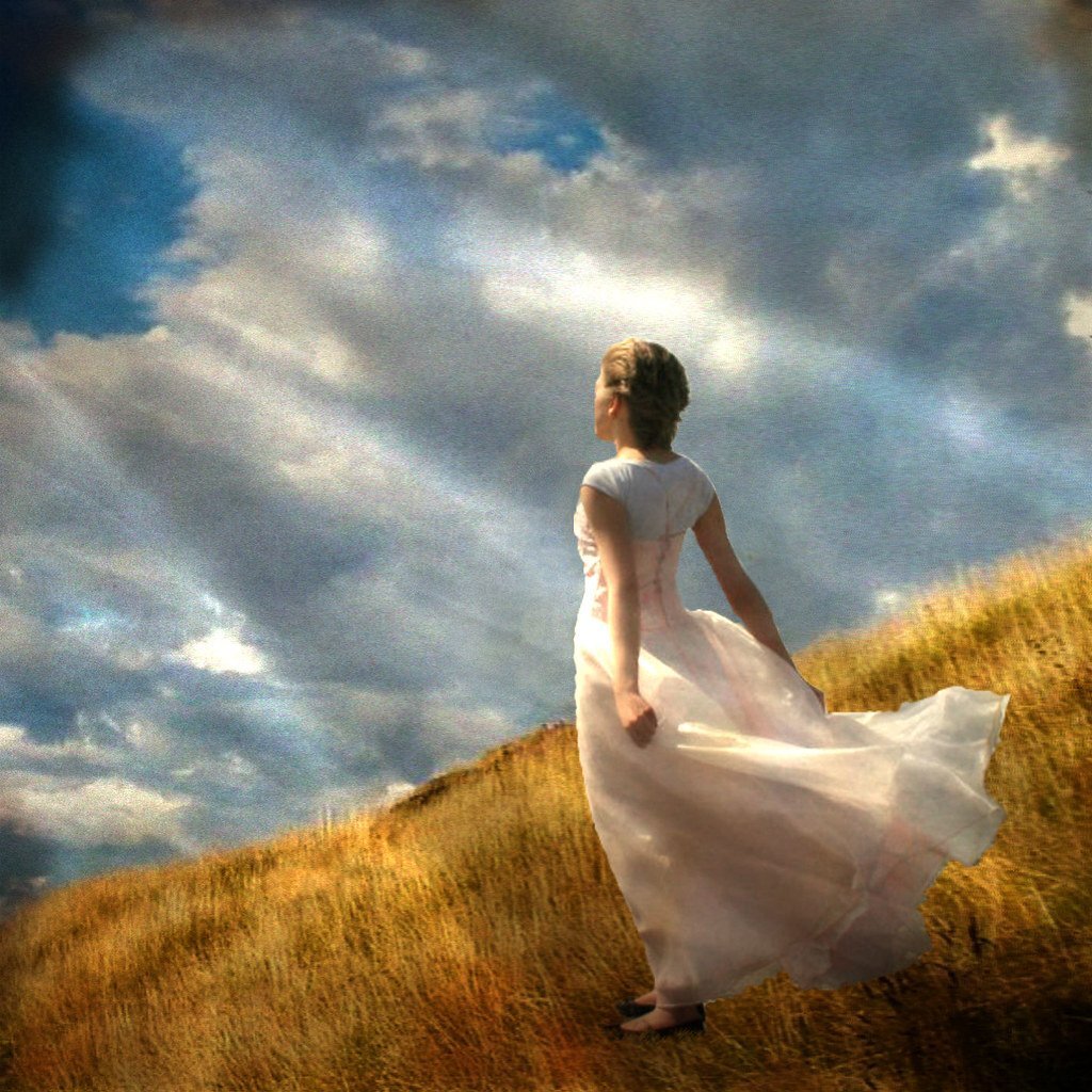 Картина из открытых источников