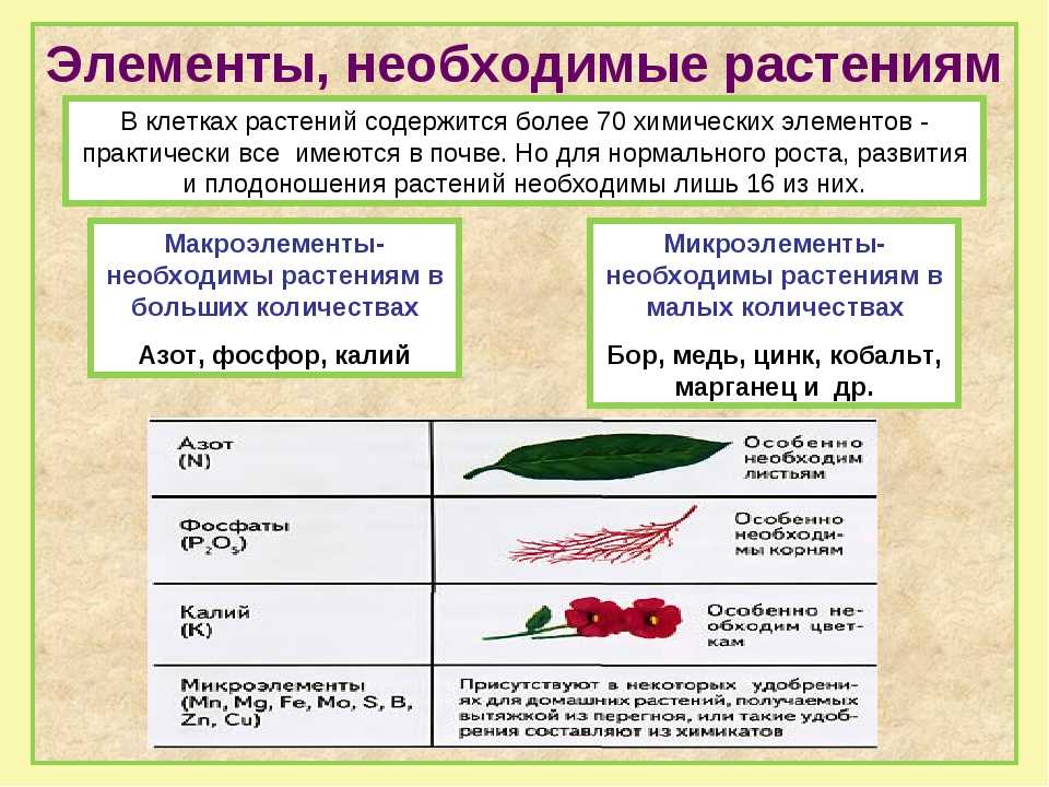 Какие микроэлементы нужны растениям