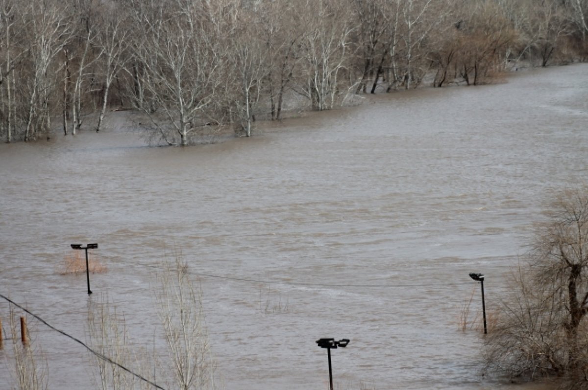   В Оренбуржье за сутки от воды освободились более 1,1 тыс. жилых домов