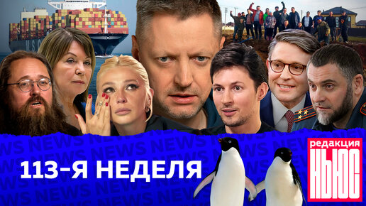 Редакция. News: 113-я неделя