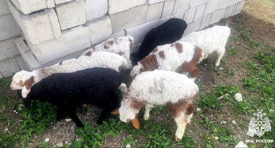     Пресс-служба МЧС