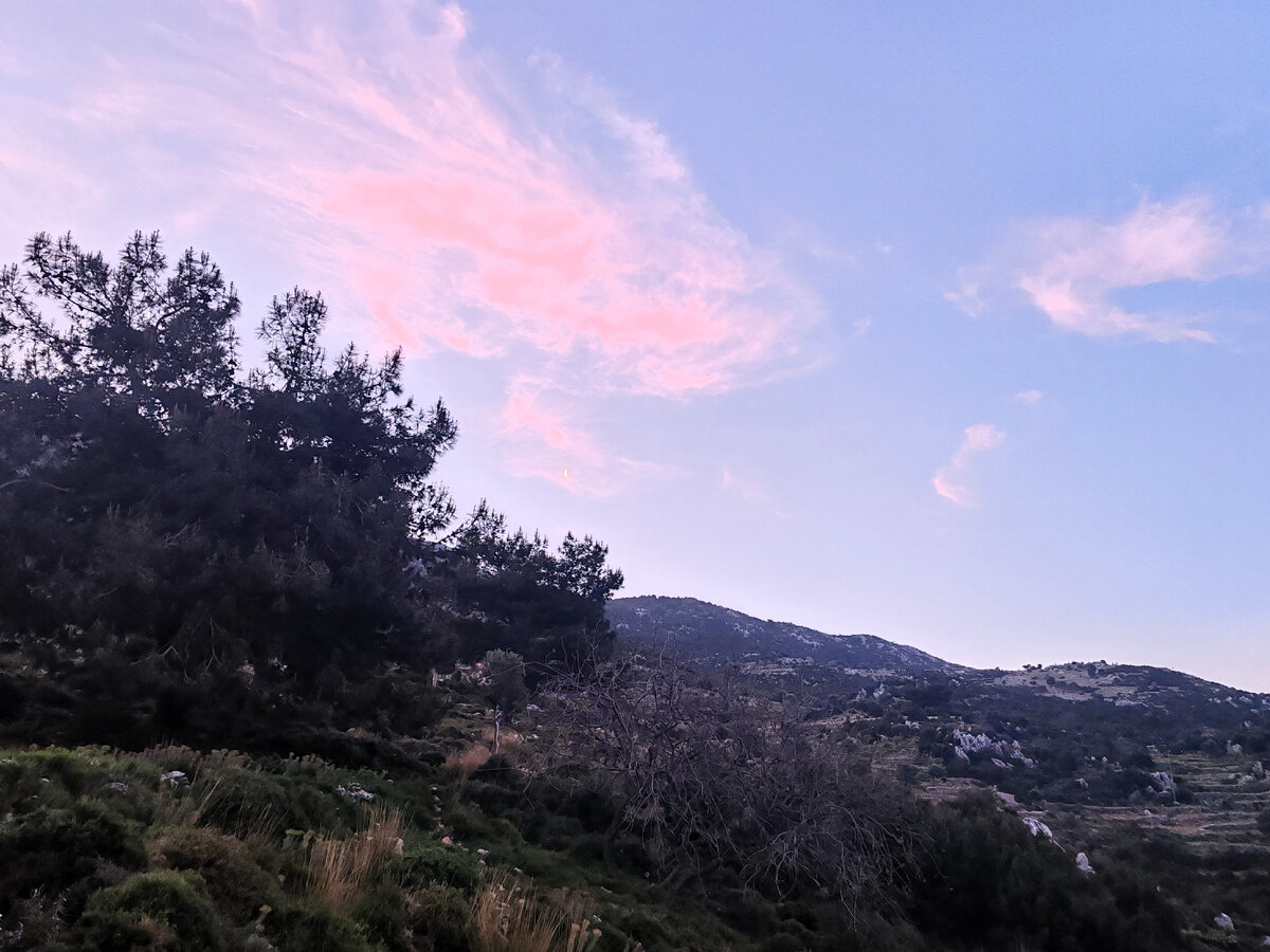 Утренние кадры