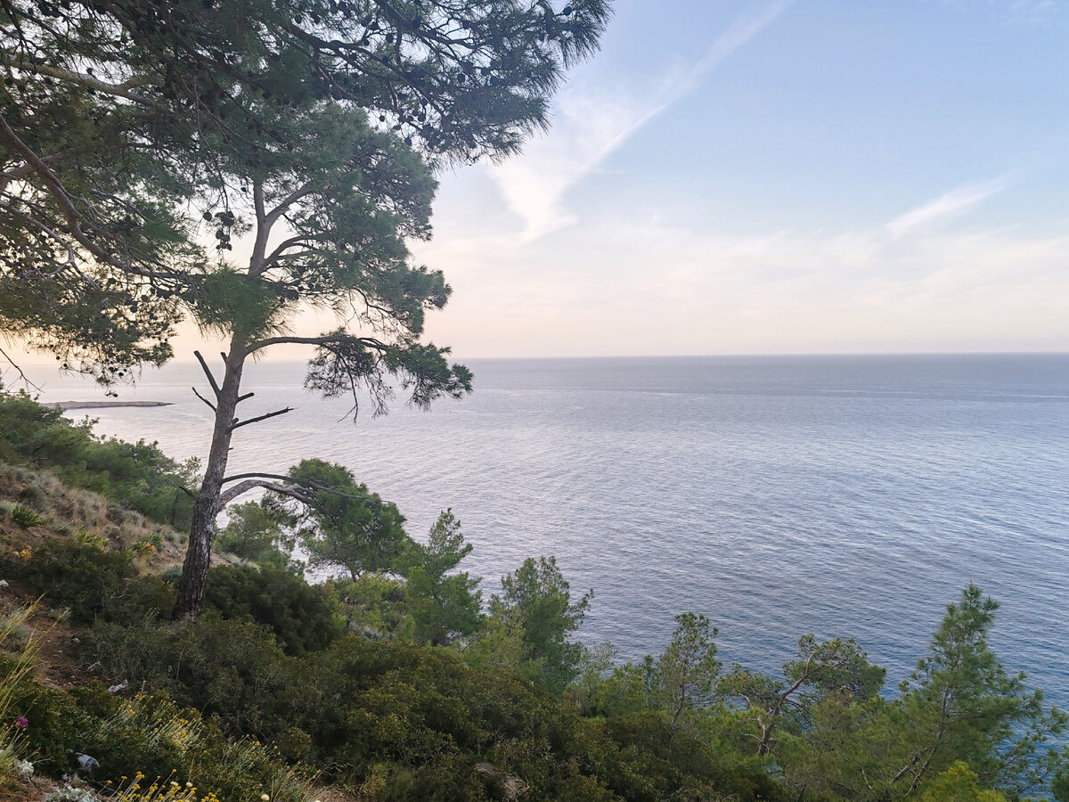 Утренние виды