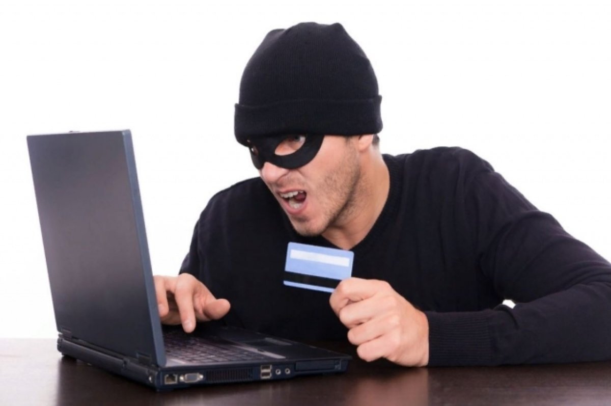    Мошенники получили доступ к «Госуслугам» жителей Псковской области