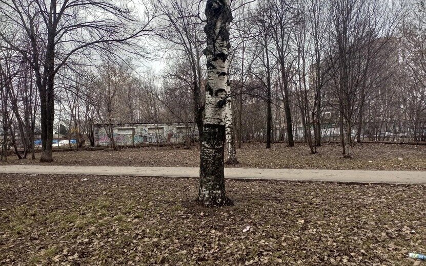  Аллея ведущая к «Зениту» несмотря на относительную чистоту внешне, энергетически неприятна для человека. Фото: Дана Солнцева