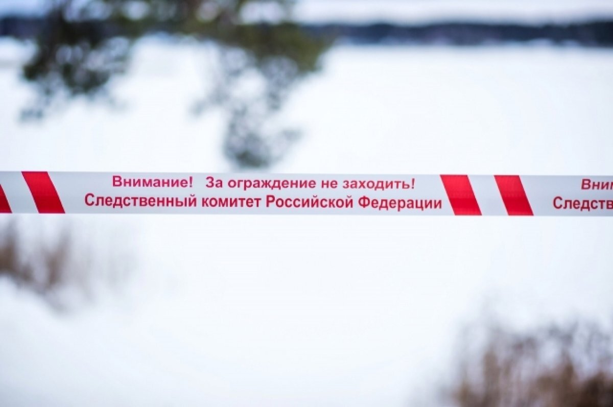    Появились снимки с места убийства в Емельяново жены кандидата в депутаты