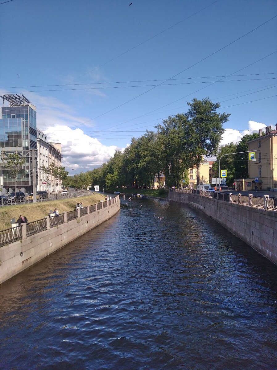 Петропавловский мост. Слева — Аптекарский, справа — Петроградский остров