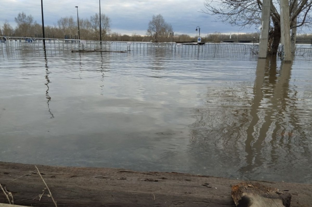    Более 1000 домов в Оренбуржье освободилось от воды