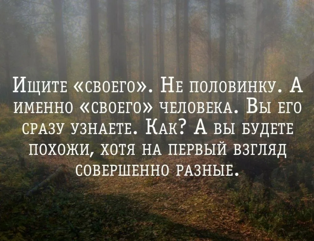 Свой человек цитаты. Разные высказывания. Цитаты про половинки. Высказывания о второй половинке.