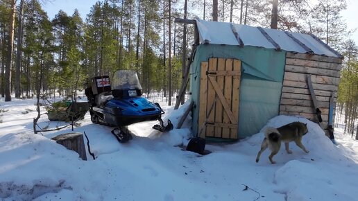 ТАЁЖНАЯ ХИЖИНА НА ОСТРОВЕ СРЕДЬ СЕВЕРНЫХ БОЛОТ. ПОЕЗДКА К ХИЖИНЕ ОТШЕЛЬНИКА. РЫБАЛКА НА ДИЧАЙШЕМ ОЗЕРЕ. ТАЁЖНЫЙ БАЛАГАН.