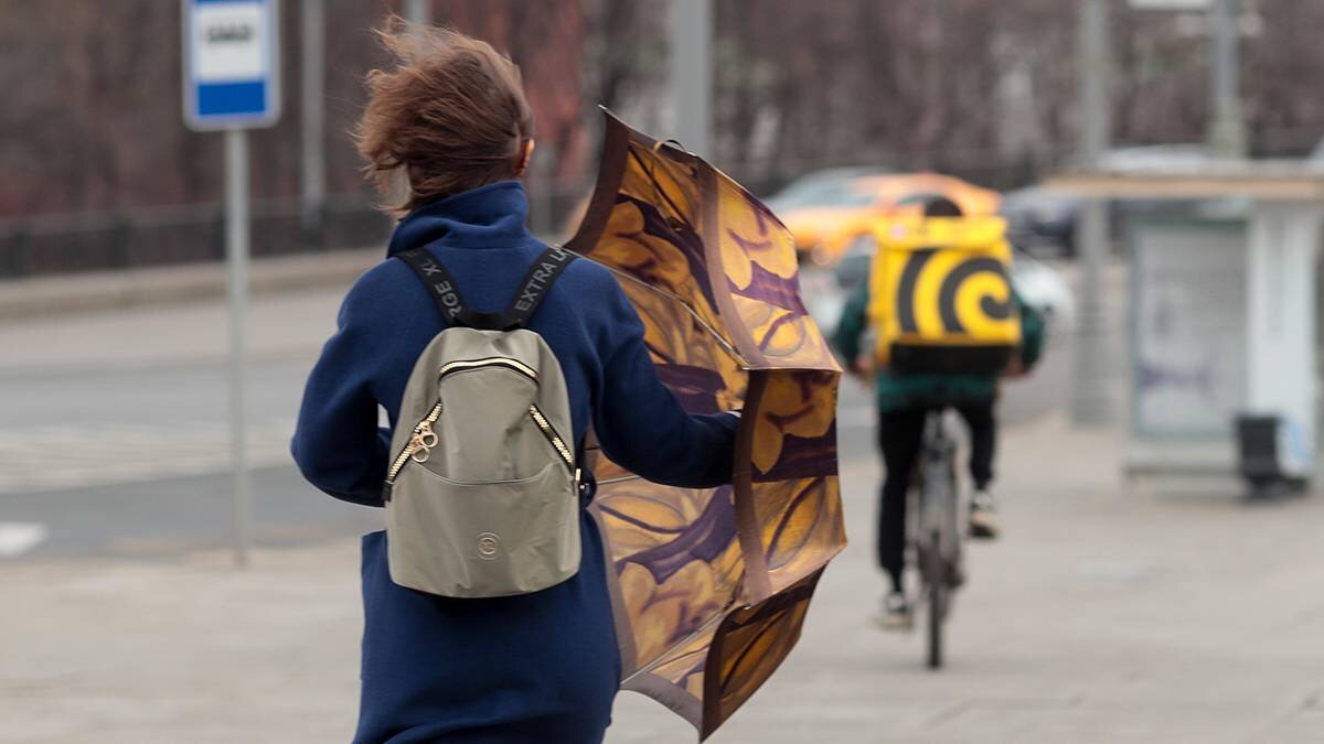    Фото: Василий Кузьмиченок / АГН Москва