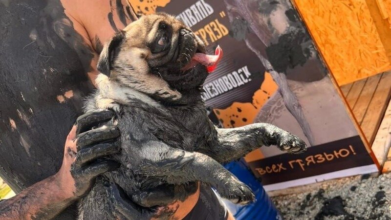      Фото: Администрация Железноводска