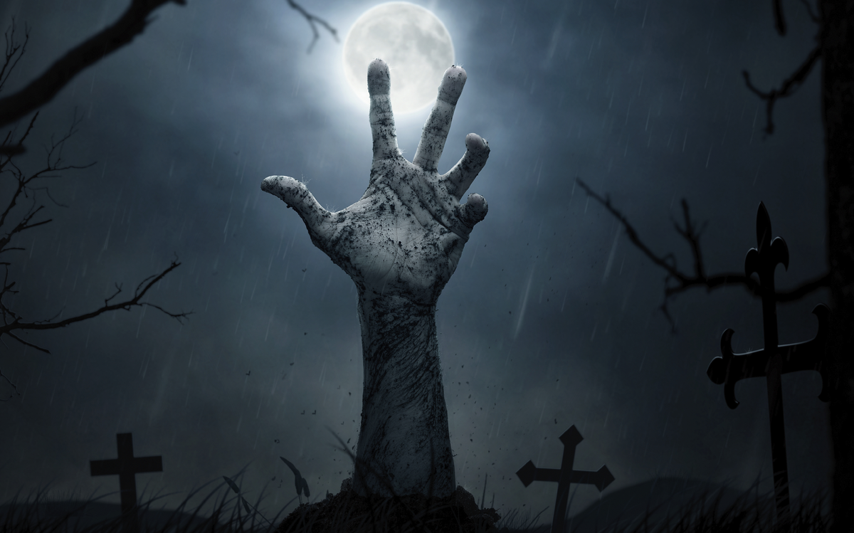 фото из интернета