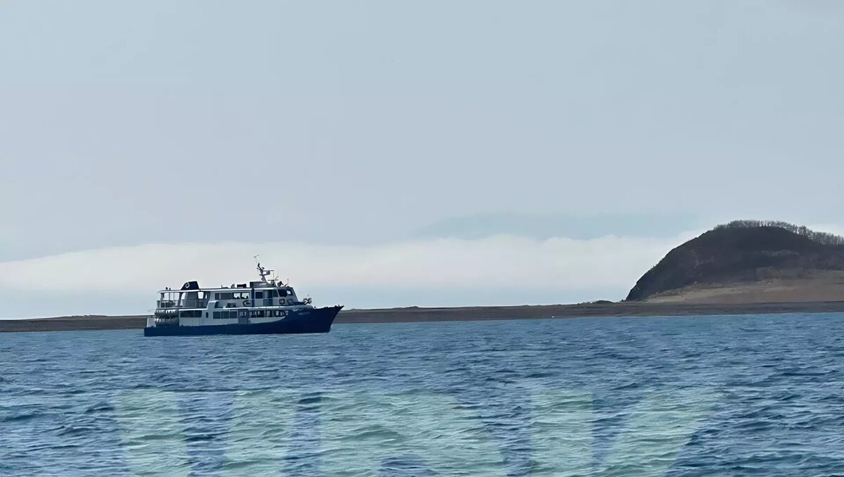     Источник: VDKNEWS.25