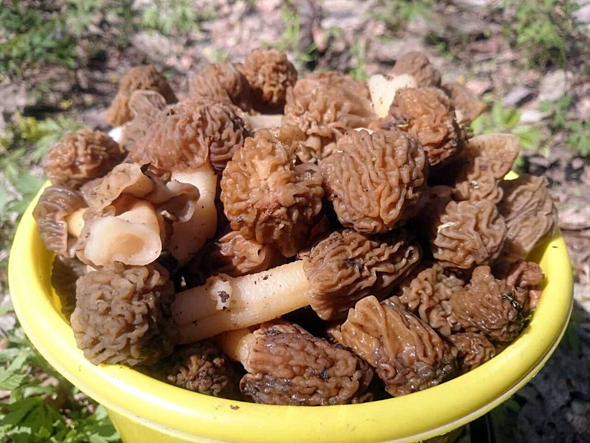 Увы, не вчера))