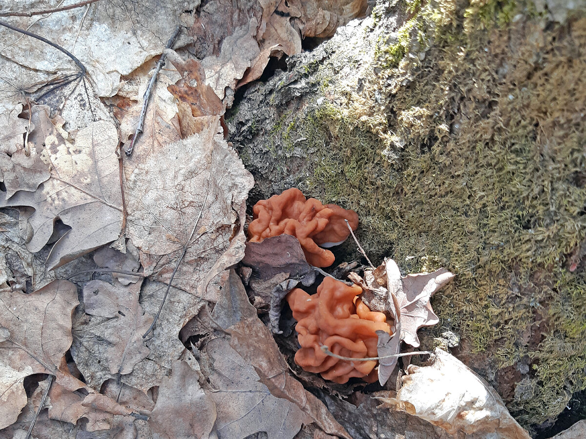 Спрятались)