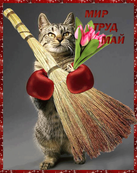 Из интернета