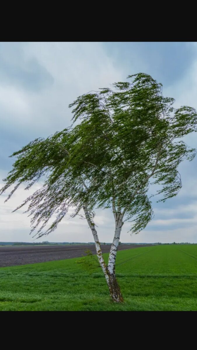 Фото из интернета.