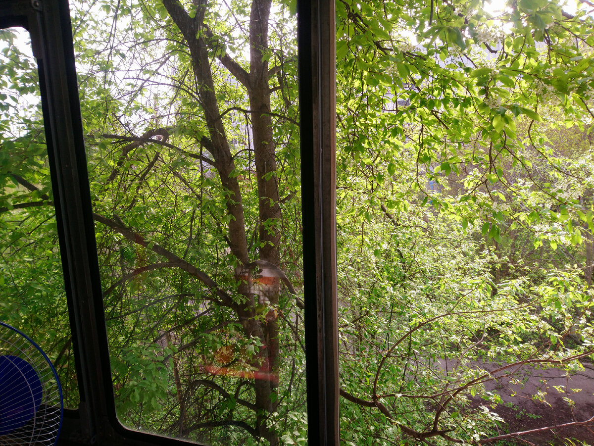 вид во двор