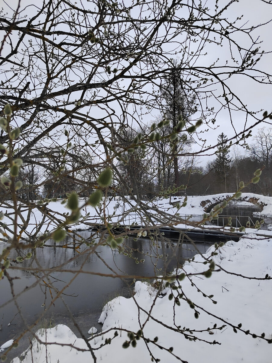 20 апреля 2024 Весна в Санкт-Петербурге