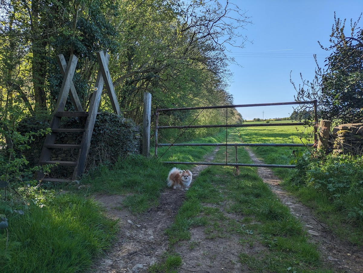 Что думать-то? Лезть надо! Фото из личного архива 