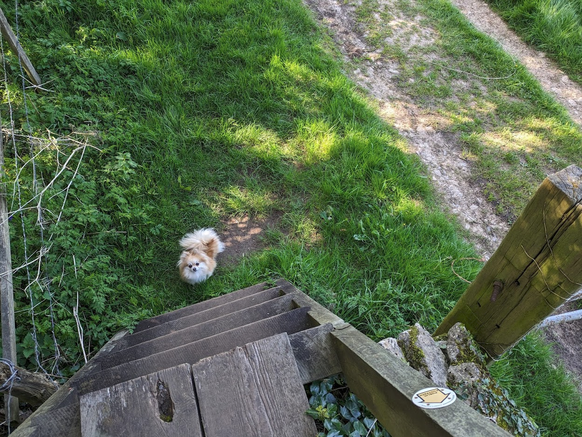 Фото из личного архива 