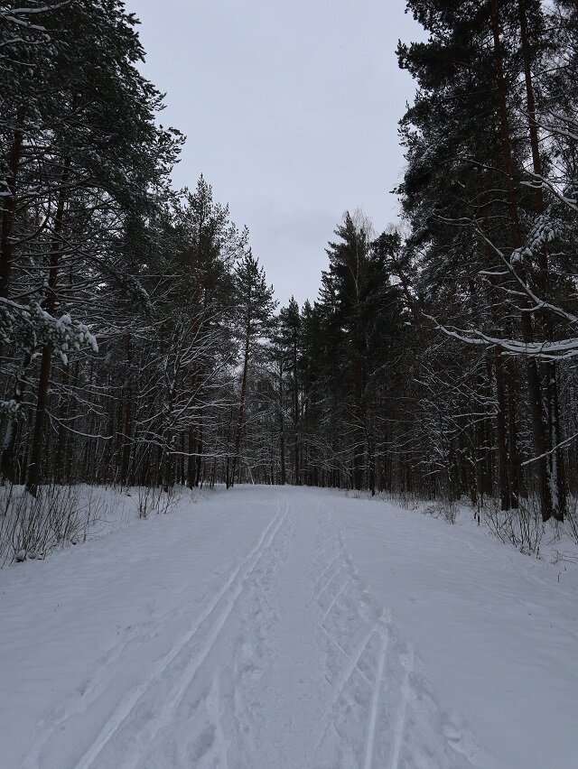 Александрийский парк. 