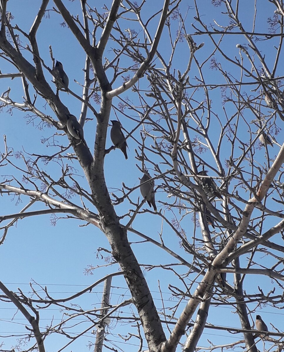 Фотография из личного архива.