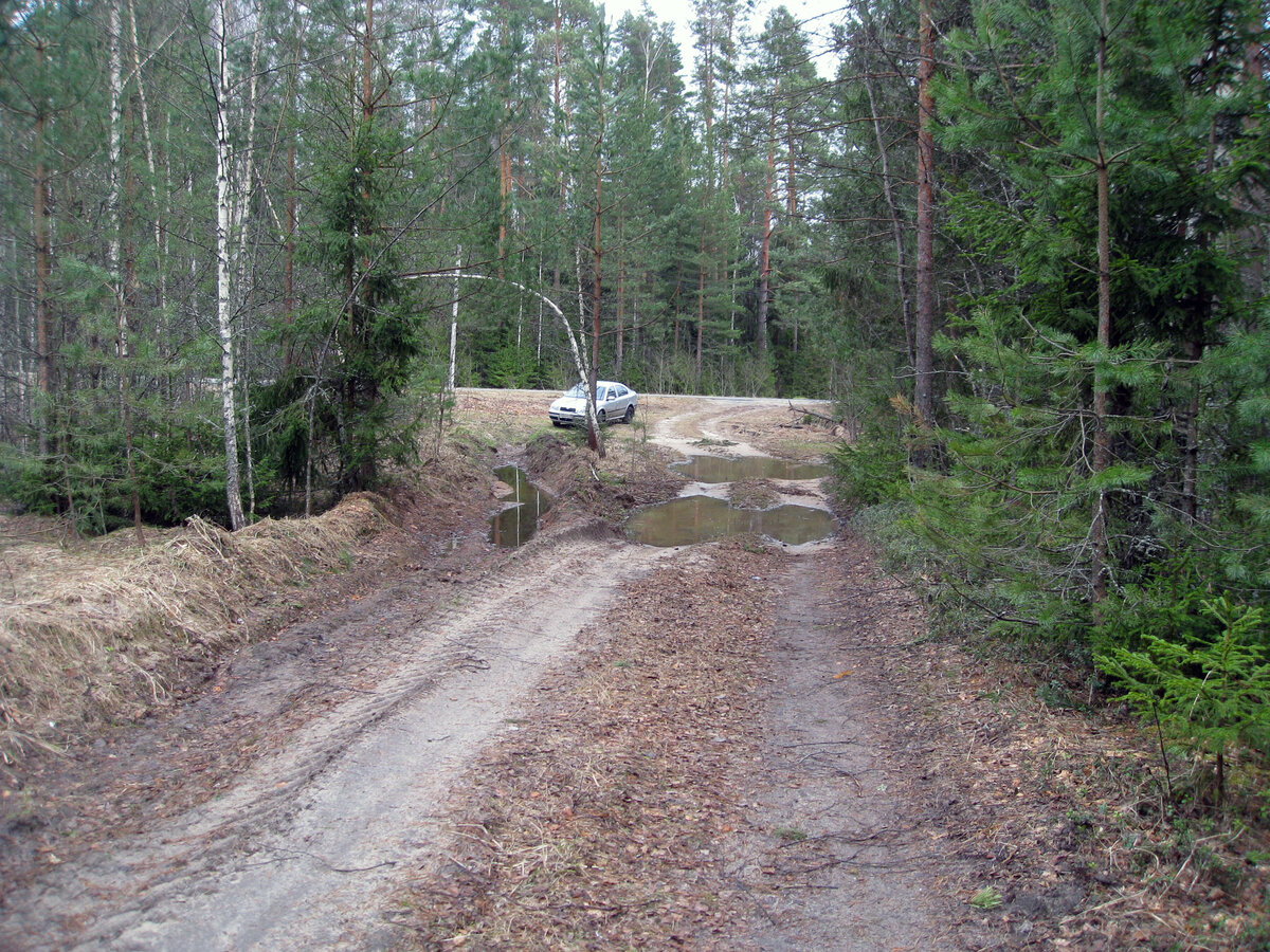 Оставили машину у асфальтированной дороги