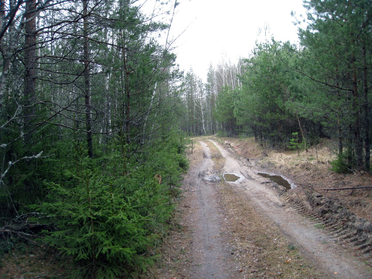 Эти места мы обычно проезжаем мимо