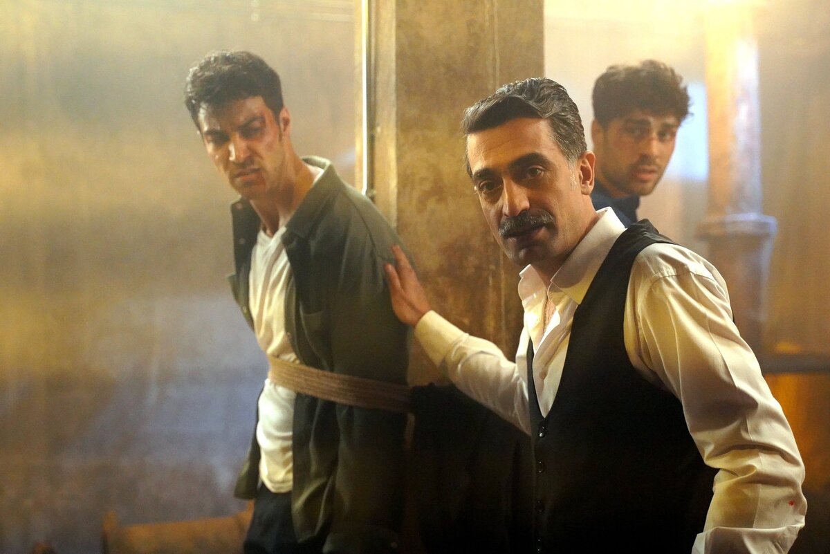 Кадр из сериала "Зимородок". Картинка из Интернета.