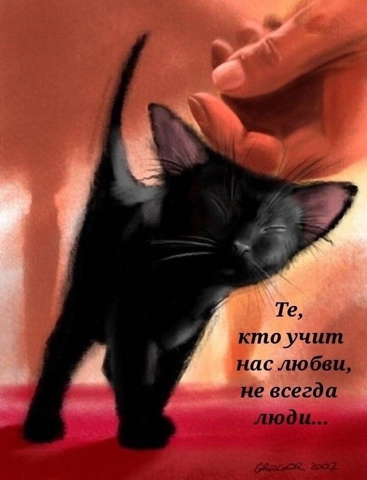 Картинка взята из интернета 