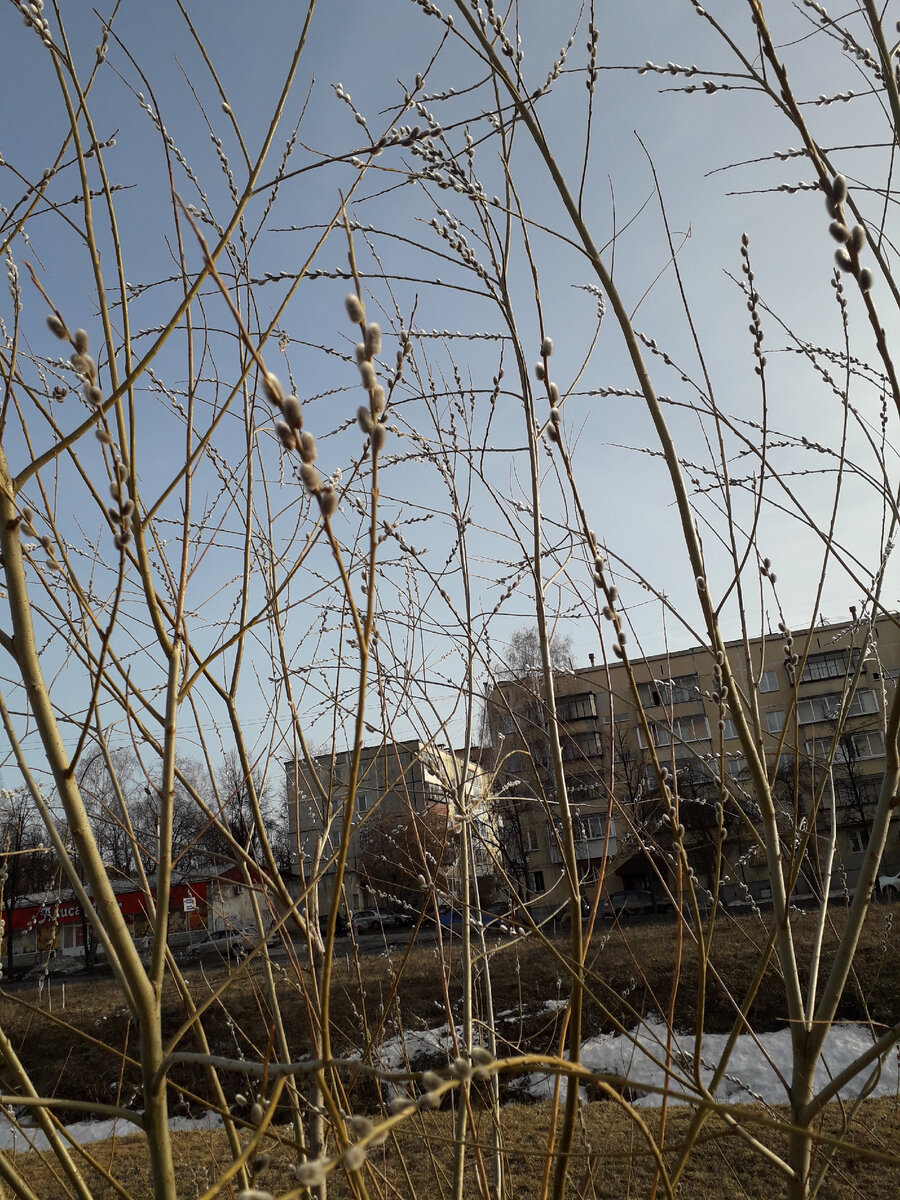 Фотография из личного архива.