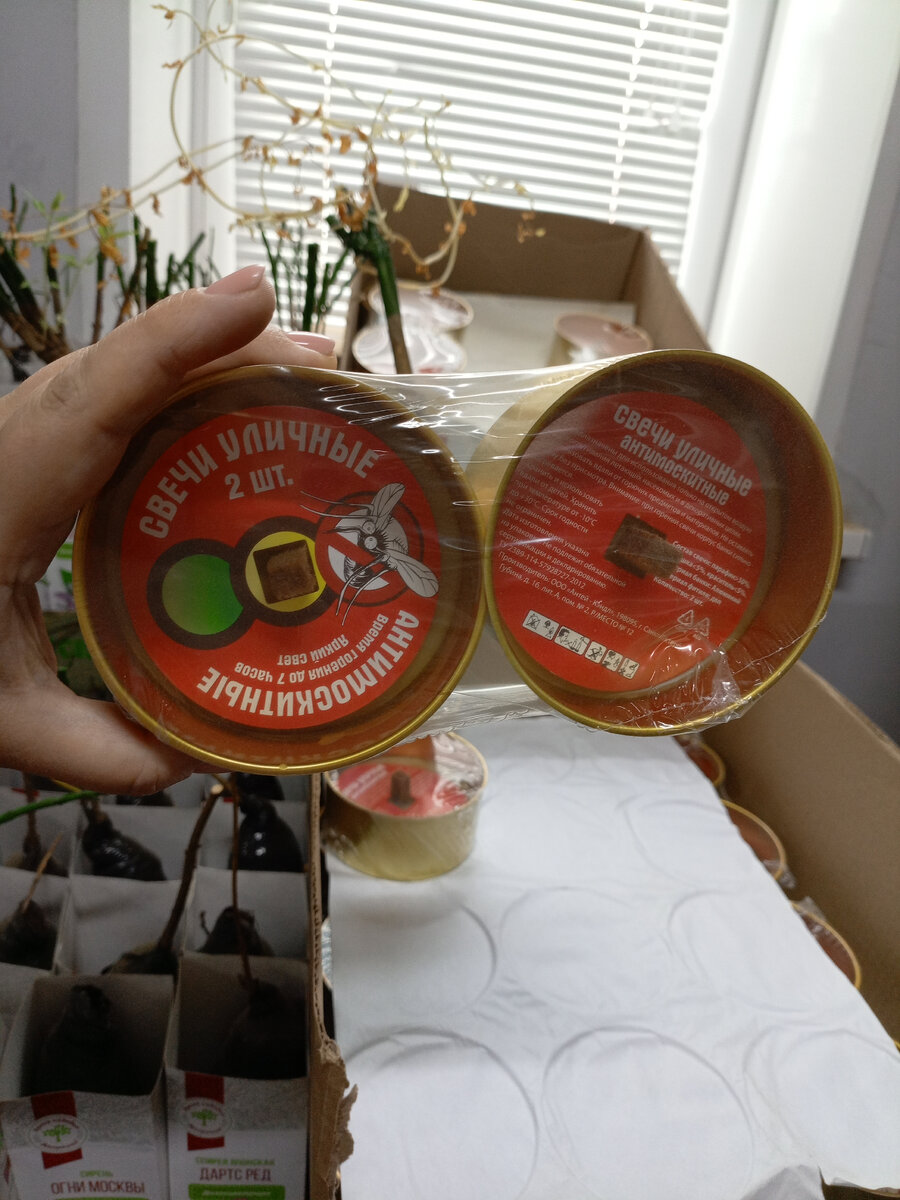 Фото автора канала