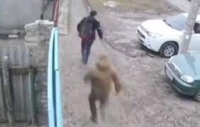 Фото взято из открытых источников