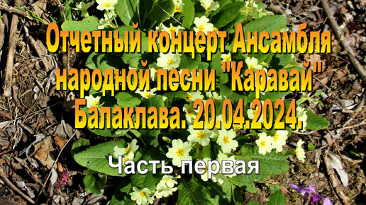 20.04.2024. Отчетный концерт ансамбля народной песни 