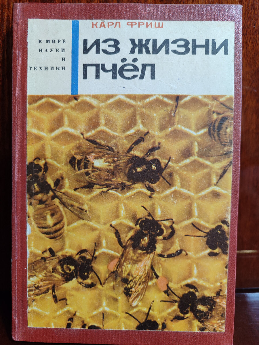 Пчелы: осенний слет, один шаг до пропасти. Часть 2. | Пчелы: прощальные  танцы | Дзен