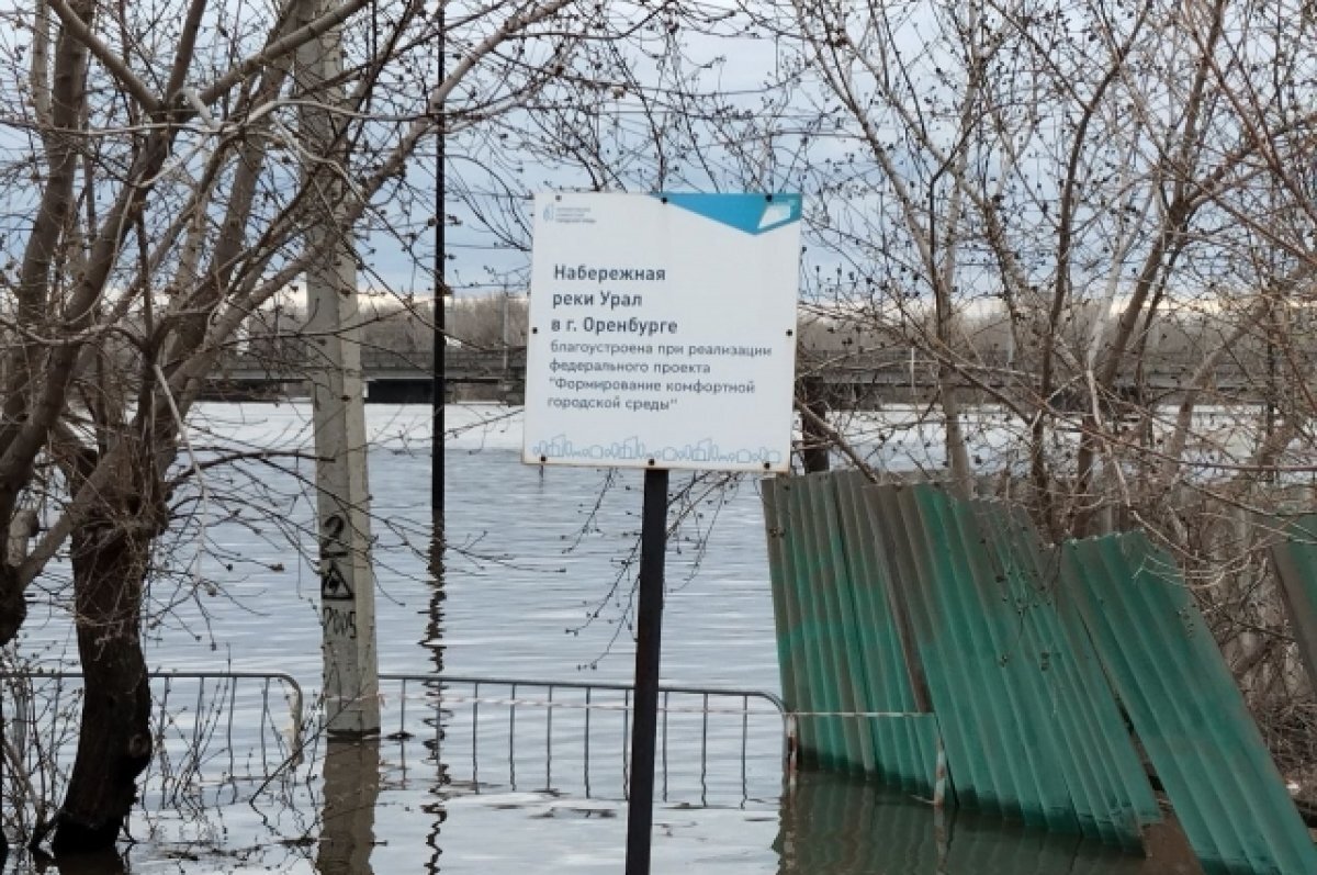    В Оренбуржье ведётся санобработка территорий после паводка