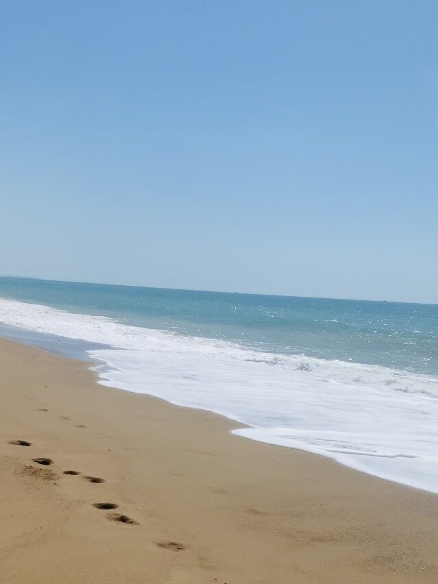 Турция 2024 Paloma Oceana 5*