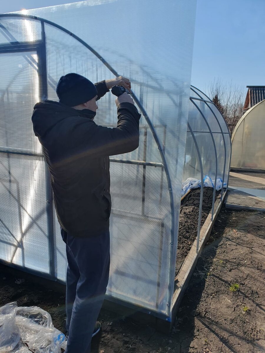 Это уже вторая теплица, которую они накрывают вместе с мужем, поэтому работают ладно и складно