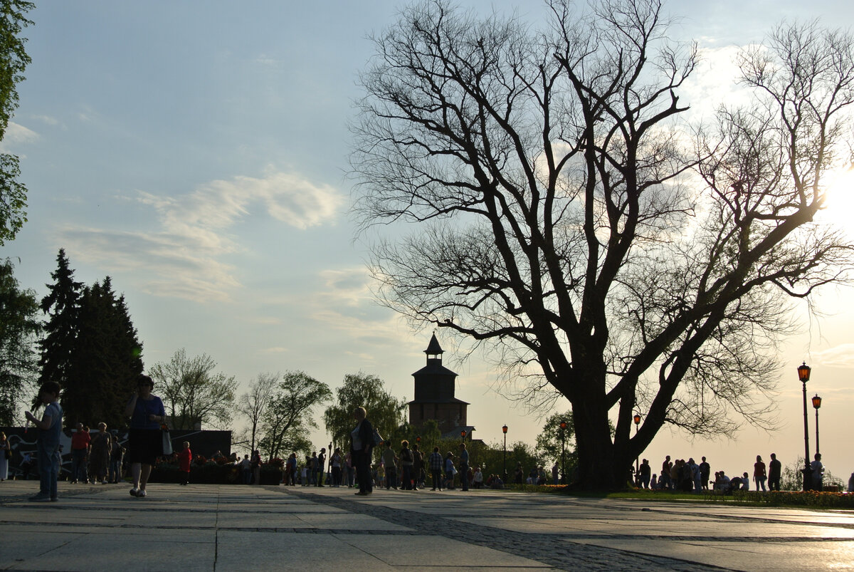 А это фото, сделанное автором в нижегородском кремле. Вид на Часовую башню.