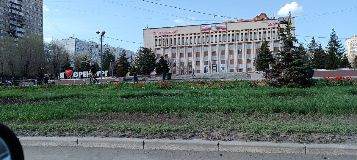 Фото автора. Весь город утопает в тюльпанах