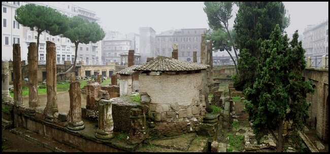 1. Тут теперь живут кошки. Много кошек. Авторское фото ©