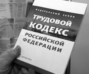 Жалоба в трудовую инспекцию на работодателя: как написать, образец жалобы
