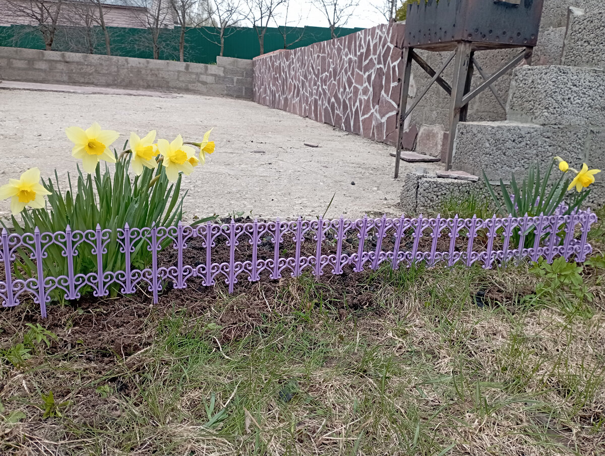 Сегодня "городила" новый заборчик 🙈