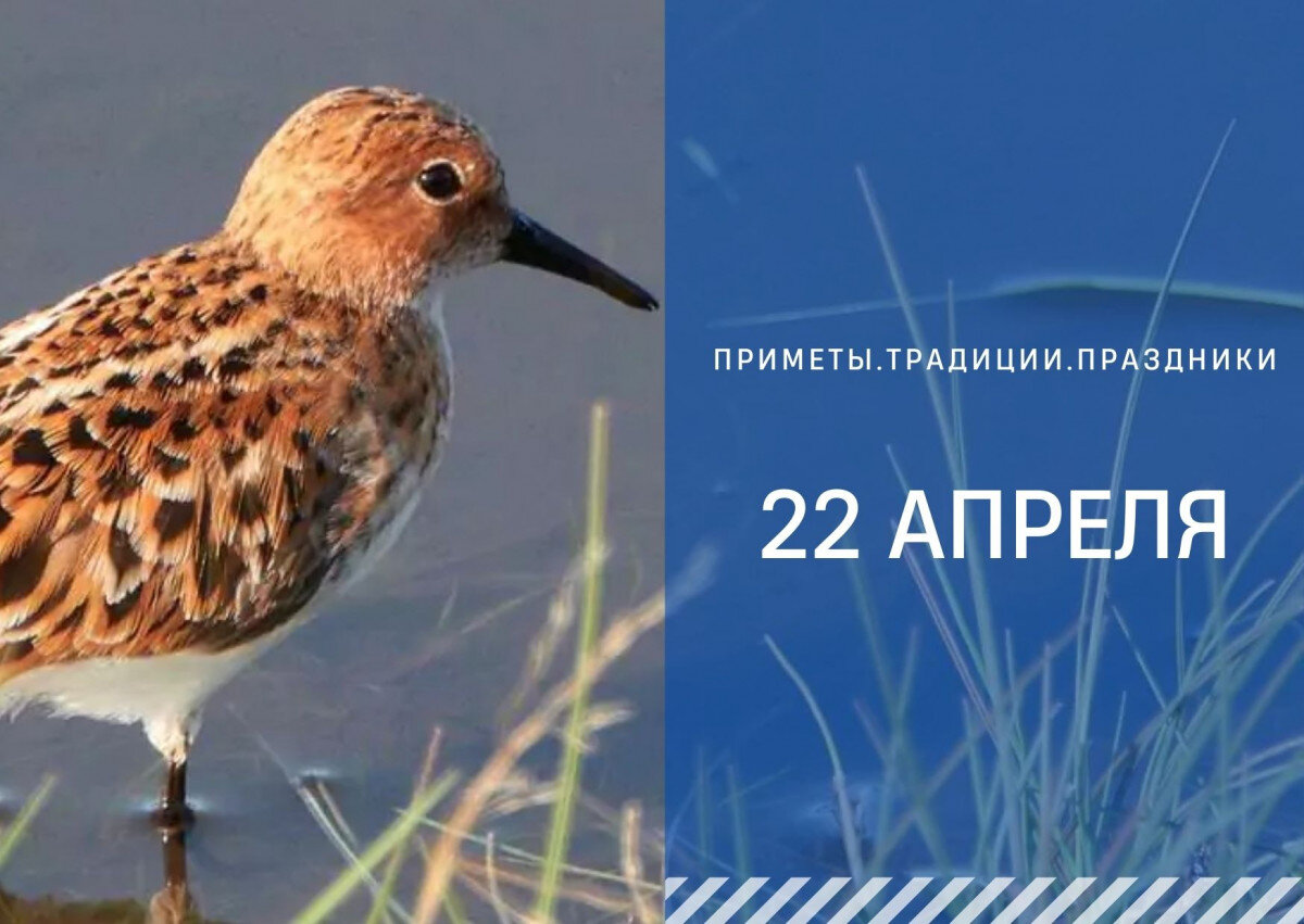   ГТРК "Ставрополье"