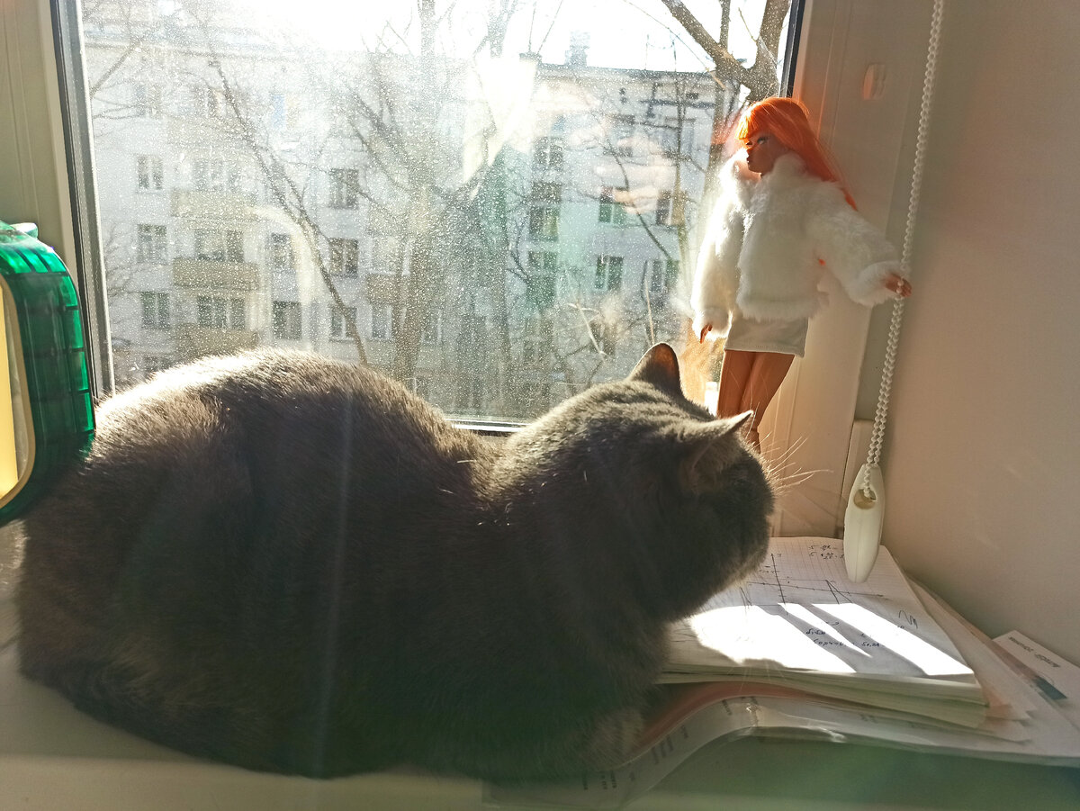 Нечего каких-то кукол фоткать, главный объект внимания - кот😊